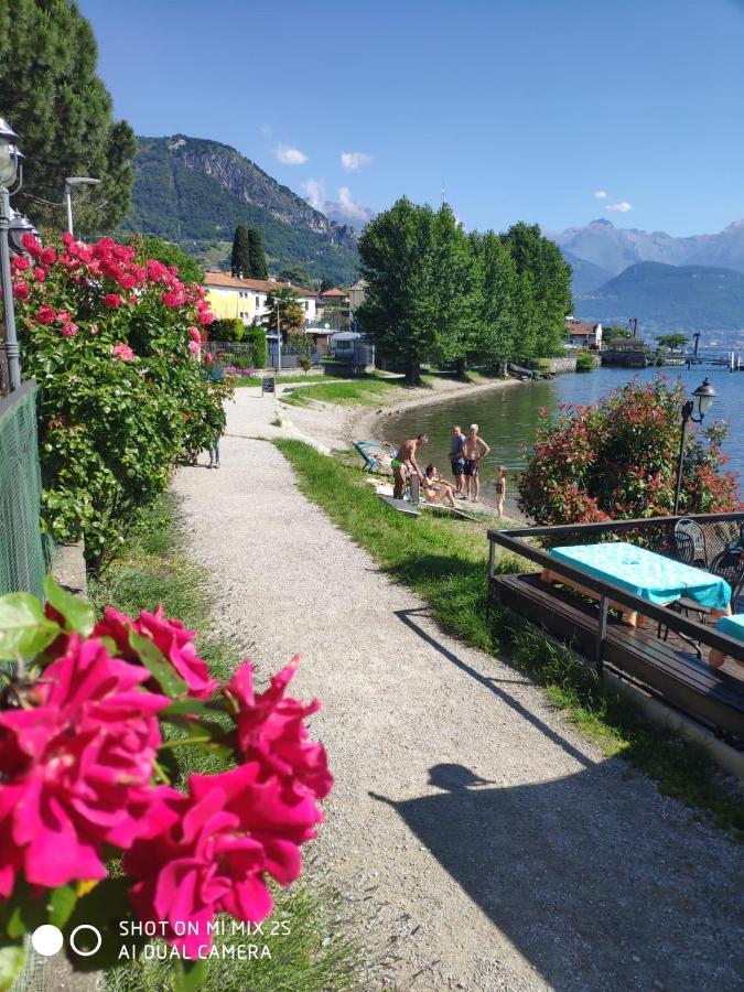 Residence Laguna Beach Pianello Del Lario Zewnętrze zdjęcie