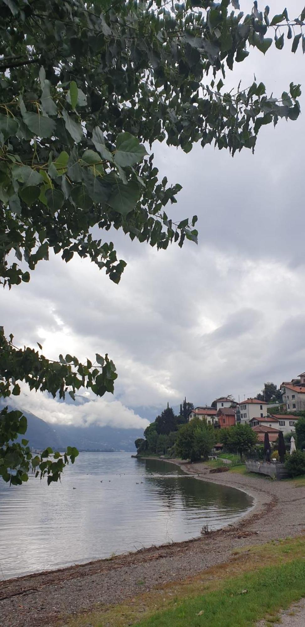 Residence Laguna Beach Pianello Del Lario Zewnętrze zdjęcie