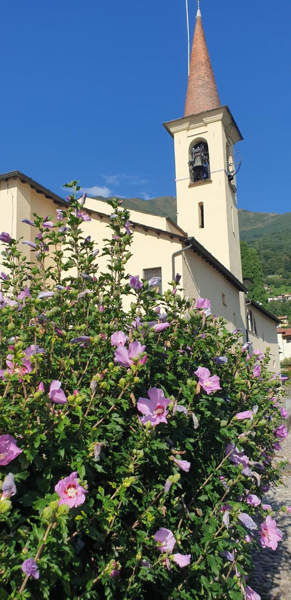 Residence Laguna Beach Pianello Del Lario Zewnętrze zdjęcie