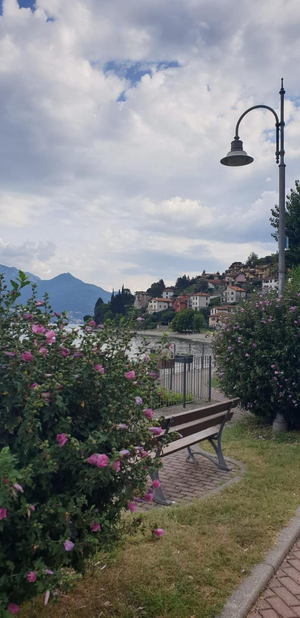 Residence Laguna Beach Pianello Del Lario Zewnętrze zdjęcie