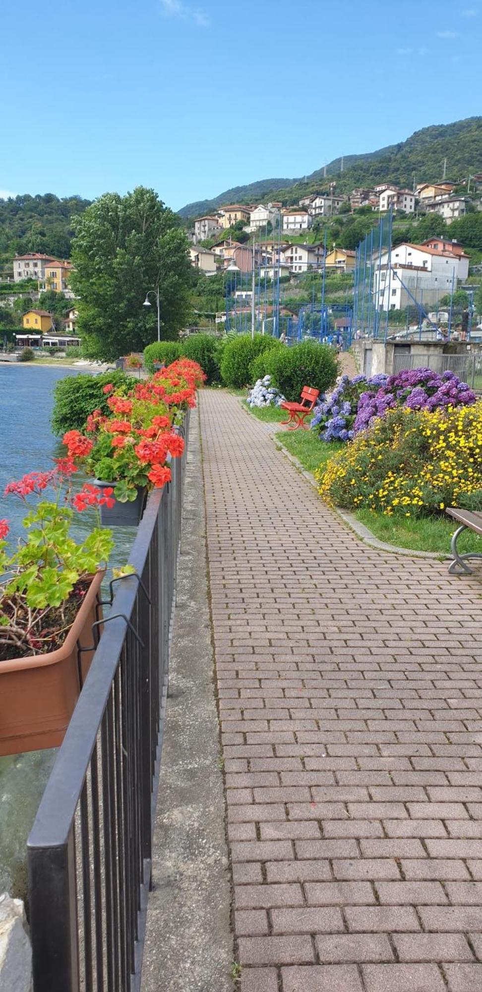 Residence Laguna Beach Pianello Del Lario Zewnętrze zdjęcie